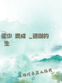 梁少寵妻成癮
