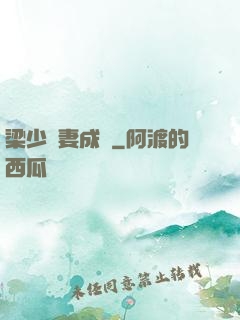 梁少寵妻成癮