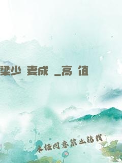 梁少寵妻成癮