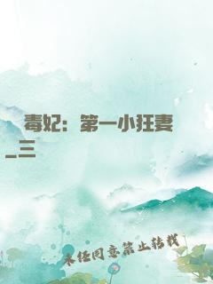 梟寵毒妃：第一小狂妻
