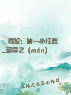 梟寵毒妃：第一小狂妻
