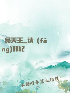 極品天王