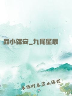 極品小保安