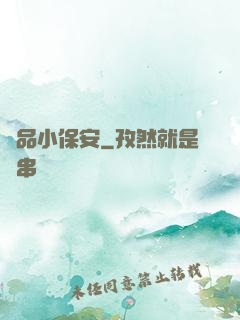 極品小保安