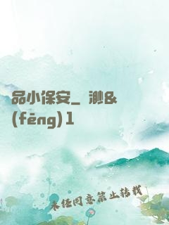極品小保安