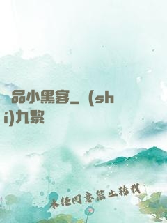 極品小黑客