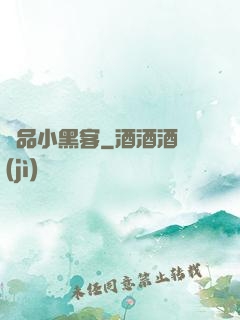極品小黑客