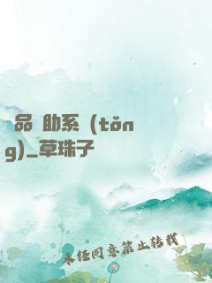 極品輔助系統(tǒng)