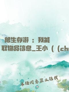 極限生存游戲：我能讀取物品信息