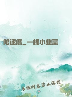 極限速度