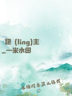 槍炮領(lǐng)主