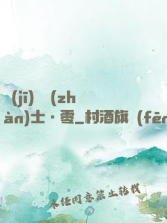 機(jī)動戰(zhàn)士·零
