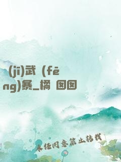 機(jī)武風(fēng)暴