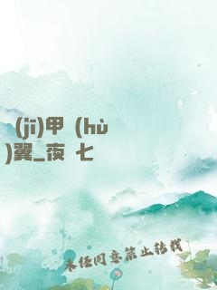 機(jī)甲護(hù)翼