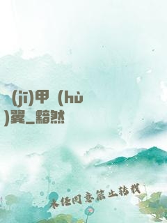 機(jī)甲護(hù)翼