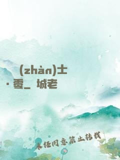 機動戰(zhàn)士·零