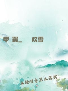 機甲護翼