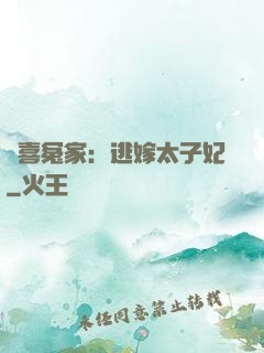 歡喜冤家：逃嫁太子妃