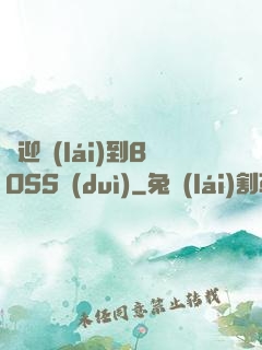 歡迎來(lái)到BOSS隊(duì)