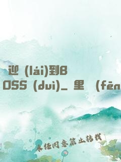 歡迎來(lái)到BOSS隊(duì)