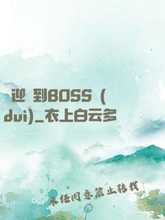 歡迎來到BOSS隊(duì)
