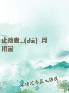 止暗者