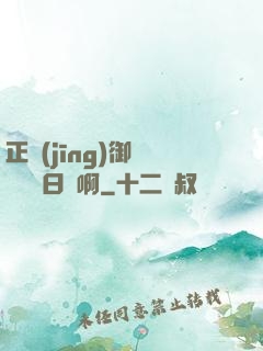 正經(jīng)御獸師誰寫日記啊