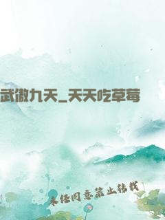 武傲九天