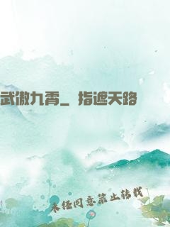 武傲九霄