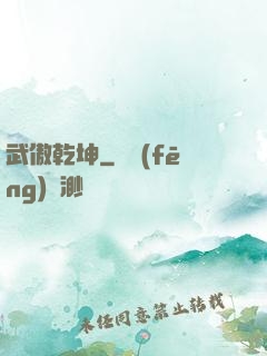 武傲乾坤