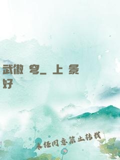 武傲蒼穹
