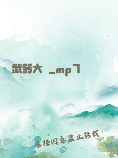 武器大師