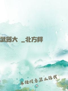 武器大師