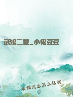 武娘二世