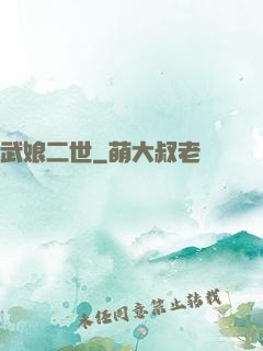 武娘二世