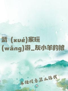 武學(xué)家玩網(wǎng)游