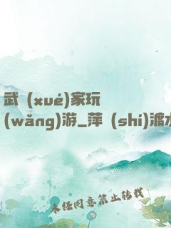 武學(xué)家玩網(wǎng)游