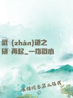 武戰(zhàn)道之硝煙再起