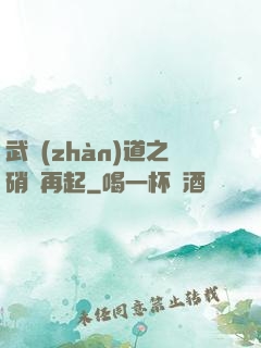 武戰(zhàn)道之硝煙再起