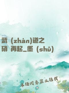 武戰(zhàn)道之硝煙再起