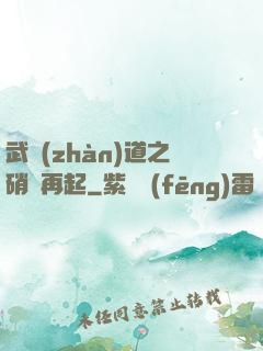 武戰(zhàn)道之硝煙再起