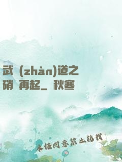武戰(zhàn)道之硝煙再起