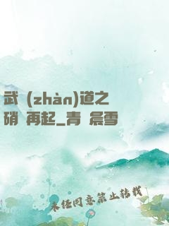 武戰(zhàn)道之硝煙再起