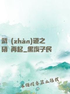 武戰(zhàn)道之硝煙再起