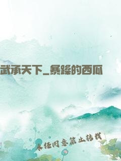 武承天下