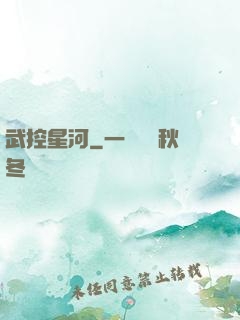 武控星河