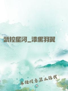 武控星河