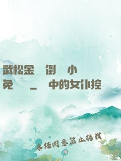 武松金蓮顛倒鸞鳳小說免費閱讀