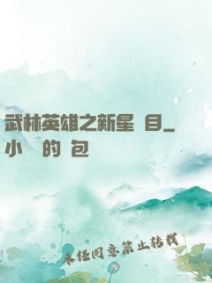 武林英雄之新星奪目