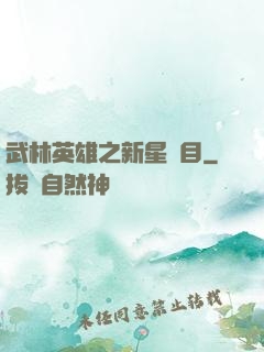 武林英雄之新星奪目